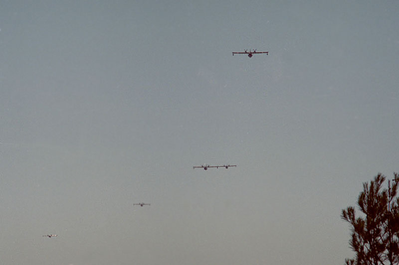 ../Images/14 juillet 19.jpg